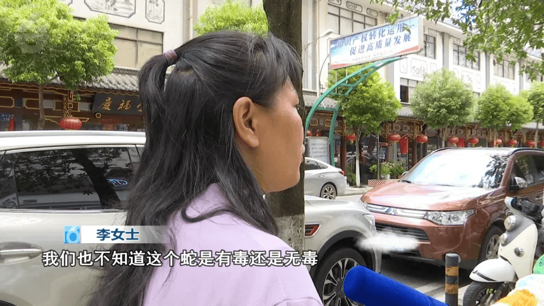 昆明一女子网购塑料凳,拆开竟发现一条蛇被胶带固定粘在椅子上,还在动!