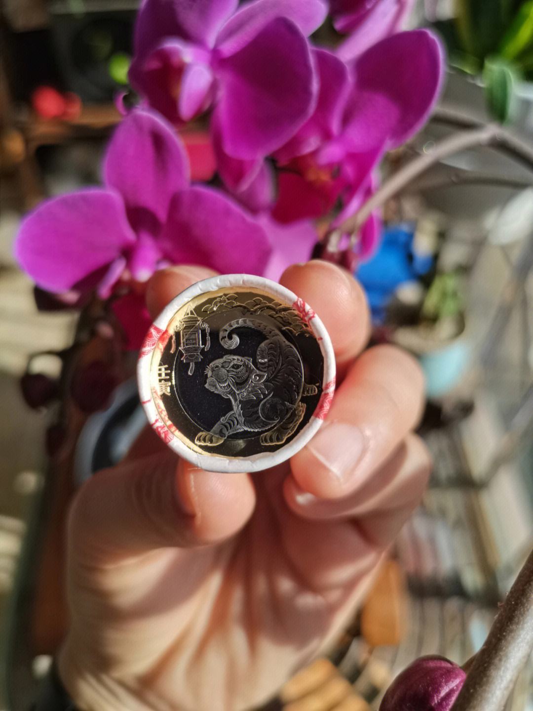 老虎币充值(老虎币tig)